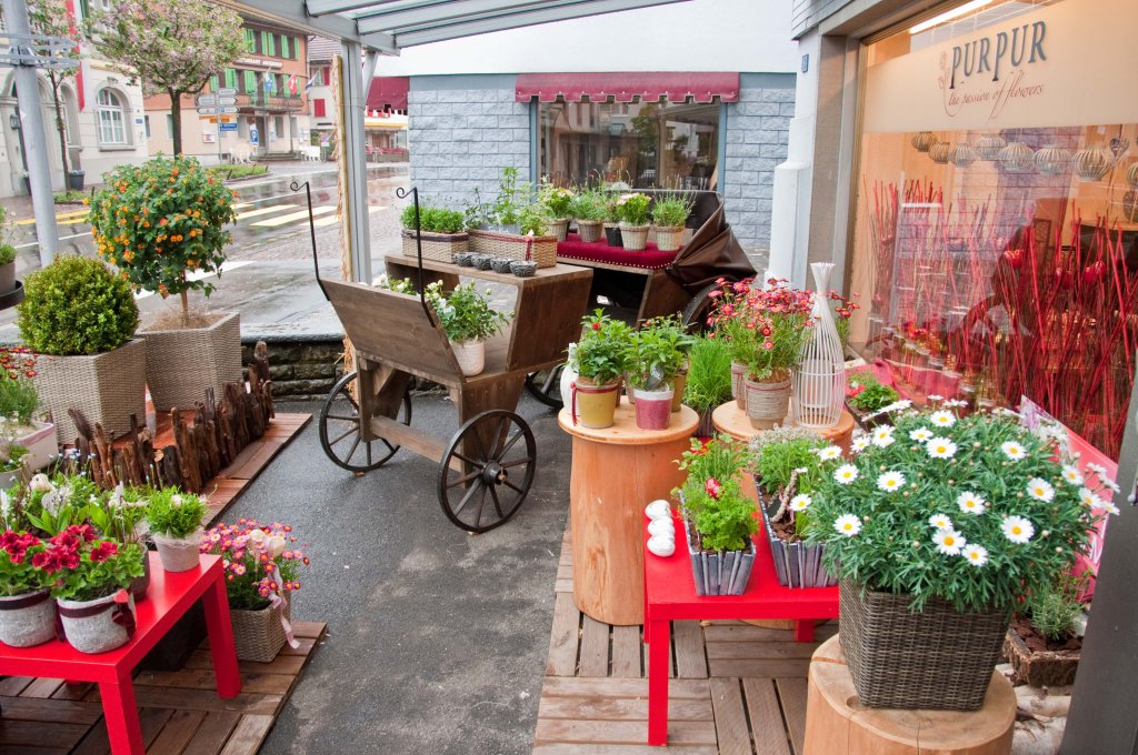 Blumen-PurPur-Blumenladen-270