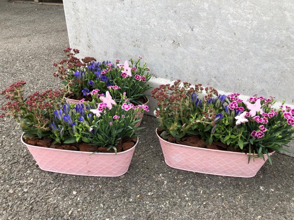 Blumen-PurPur-Blumenladen-382