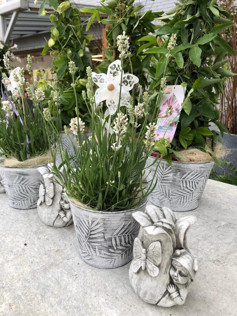 Blumen-PurPur-Blumenladen-442
