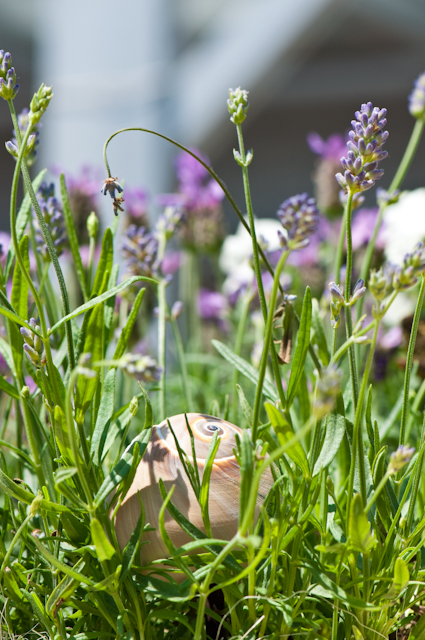 Blumen-PurPur-Blumenladen-472