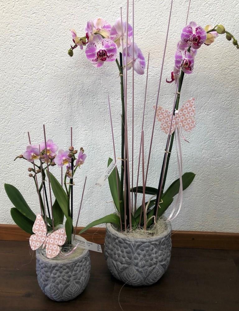 Blumen-PurPur-Blumenladen-658