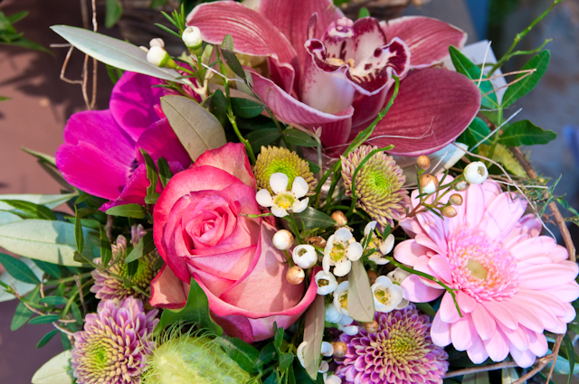 Blumen-PurPur-Blumenladen-666
