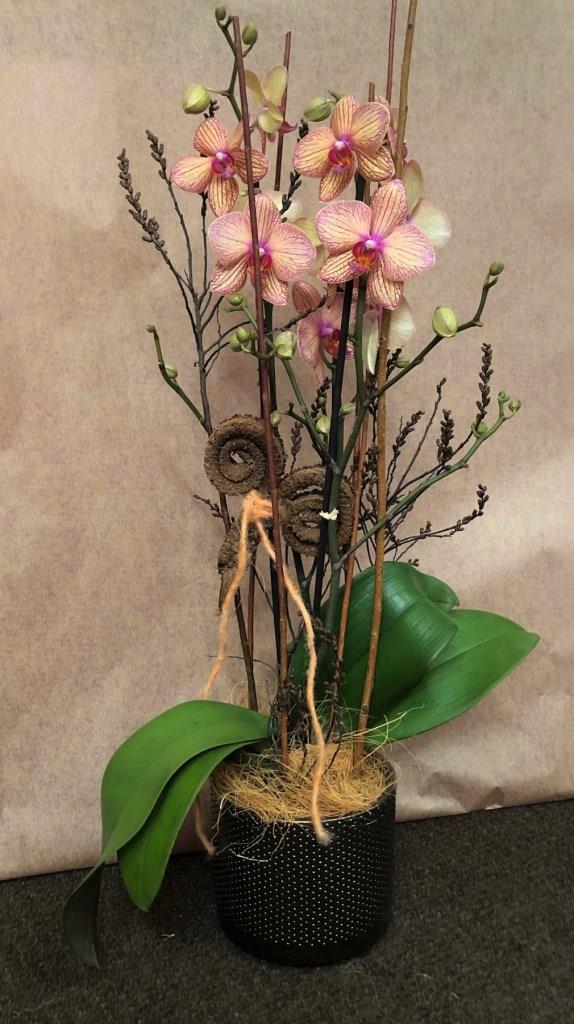 Blumen-PurPur-Blumenladen-781