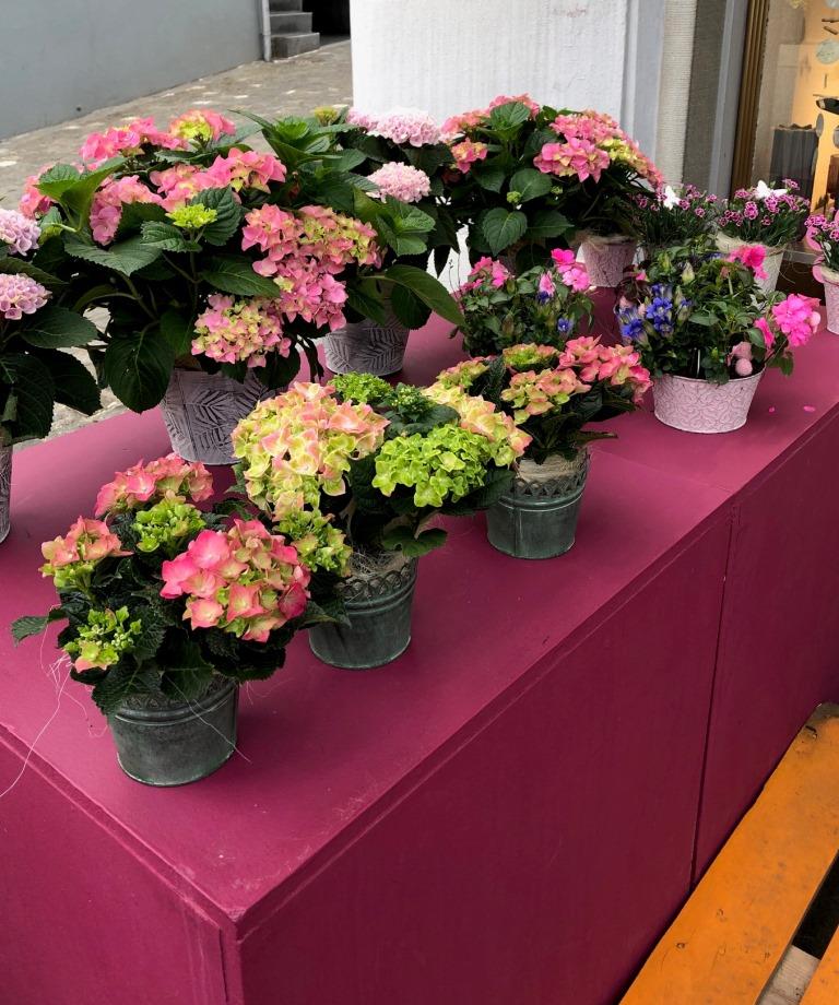 Blumen-PurPur-Blumenladen-865