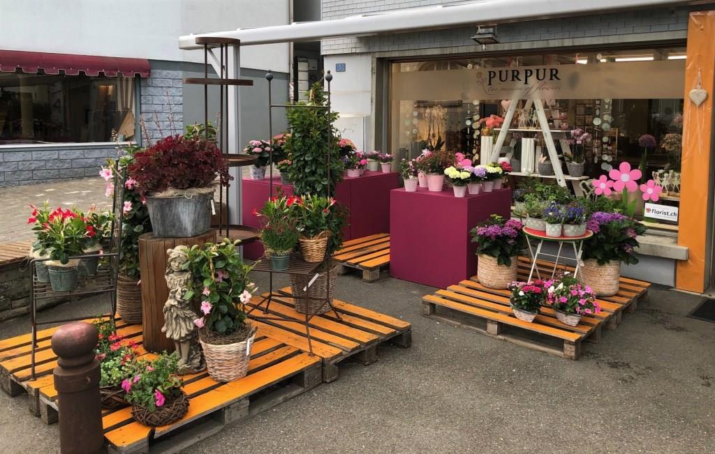 Blumen-PurPur-Blumenladen-968