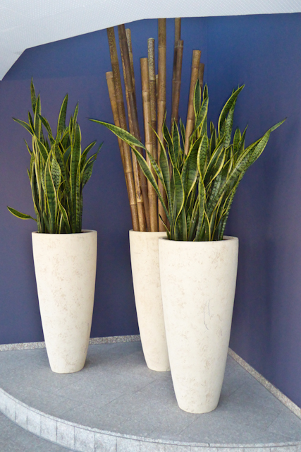 Blumen-PurPur-Raumschmuck-Firmenkunden-402