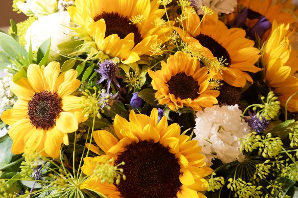 Blumen-PurPur-Daniela+Marco-699