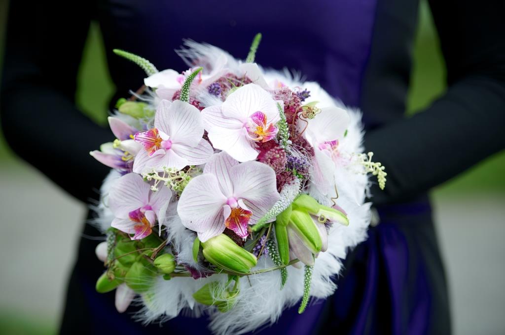 Blumen-PurPur-Gabriela+Beat-685
