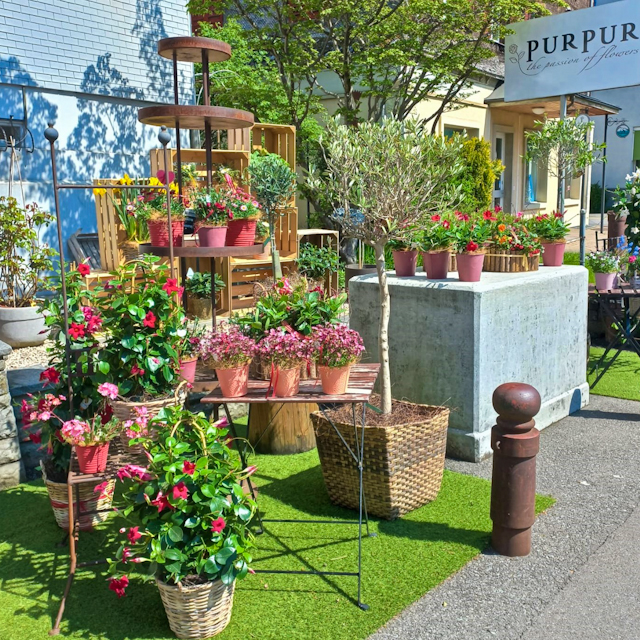 2204_Blumen-PurPur-Blumenladen_100