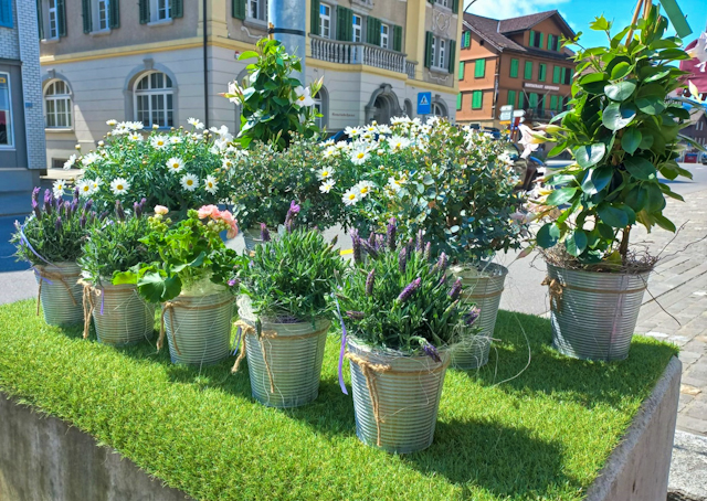 2204_Blumen-PurPur-Blumenladen_101