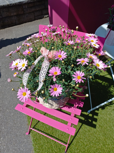 2204_Blumen-PurPur-Blumenladen_104