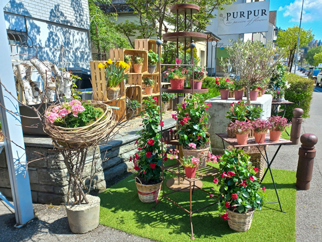 2204_Blumen-PurPur-Blumenladen_105